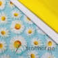 Preview: Baumwolljersey Gänseblümchen / Helltürkis
