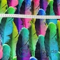 Preview: Baumwolljersey Regenbogen Bunte Feder