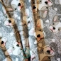 Preview: Baumwolljersey Französische Bulldogge Hund