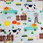 Preview: Reststück 5m - Baumwolljersey Kürbisfarm und Farmtiere