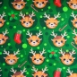 Preview: Baumwolljersey Weihnachten Süße Rentiere Grün