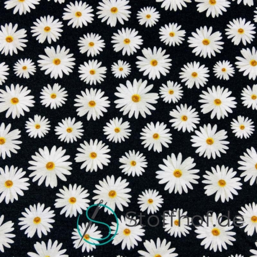 Baumwolljersey Gänseblümchen / Schwarz