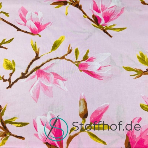 Baumwolle Magnolie Rosa