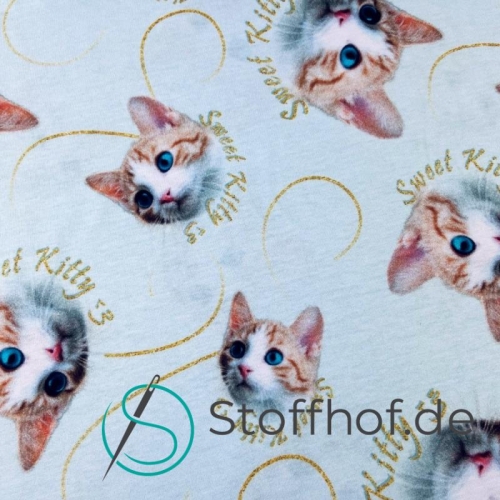 Baumwolljersey Süße Katzen / Hellmint