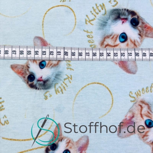 Baumwolljersey Süße Katzen / Hellmint
