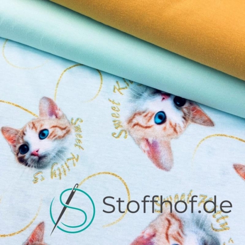 Baumwolljersey Süße Katzen / Hellmint