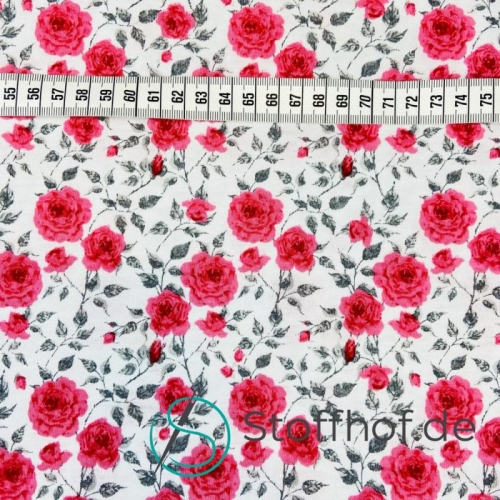 Baumwolljersey Pinke Rosen