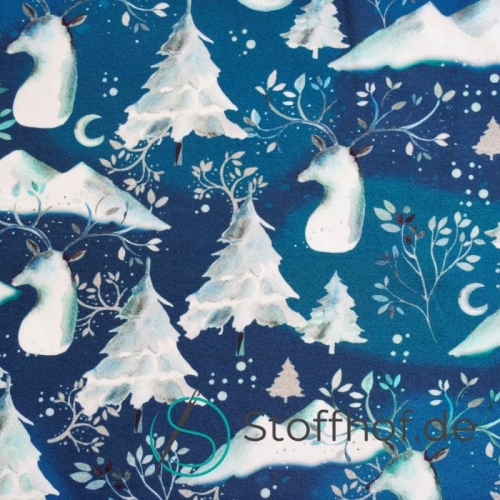 French Terry Sommersweat Winternacht Weiß Blau