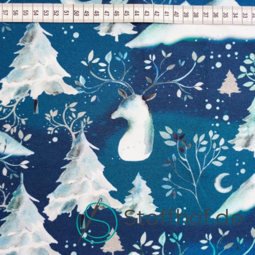 French Terry Sommersweat Winternacht Weiß Blau