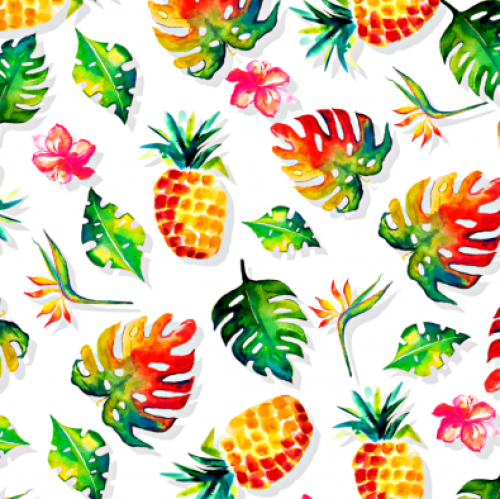 Baumwolljersey Ananas Früchte/ Weiß