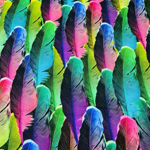 Baumwolljersey Regenbogen Bunte Feder