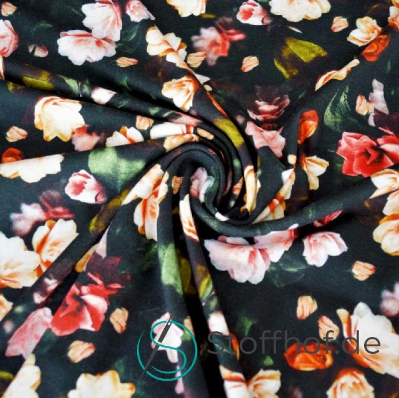 Baumwolljersey Herbst Rosen/ Schwarz