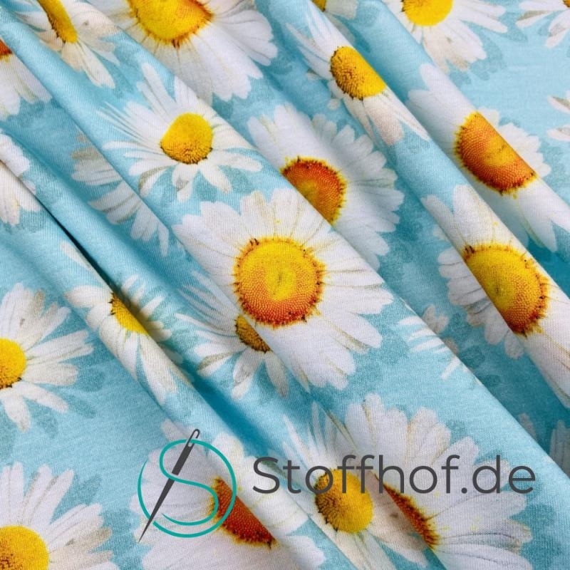 Baumwolljersey Gänseblümchen / Helltürkis