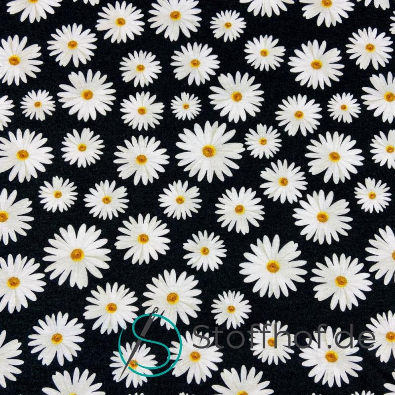 Baumwolljersey Gänseblümchen / Schwarz
