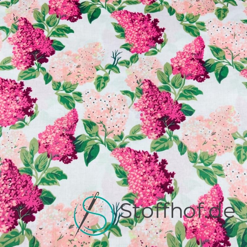 Baumwolle Flieder Pink Rosa