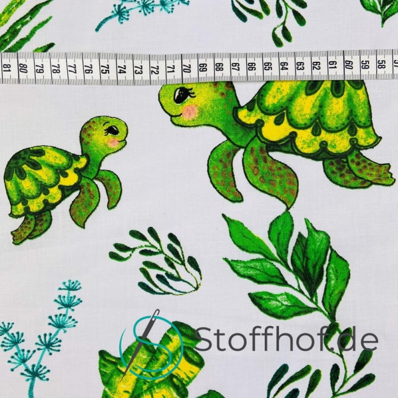 Baumwolle Schildkrötenfamilie
