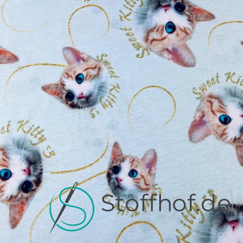 Baumwolljersey Süße Katzen / Hellmint