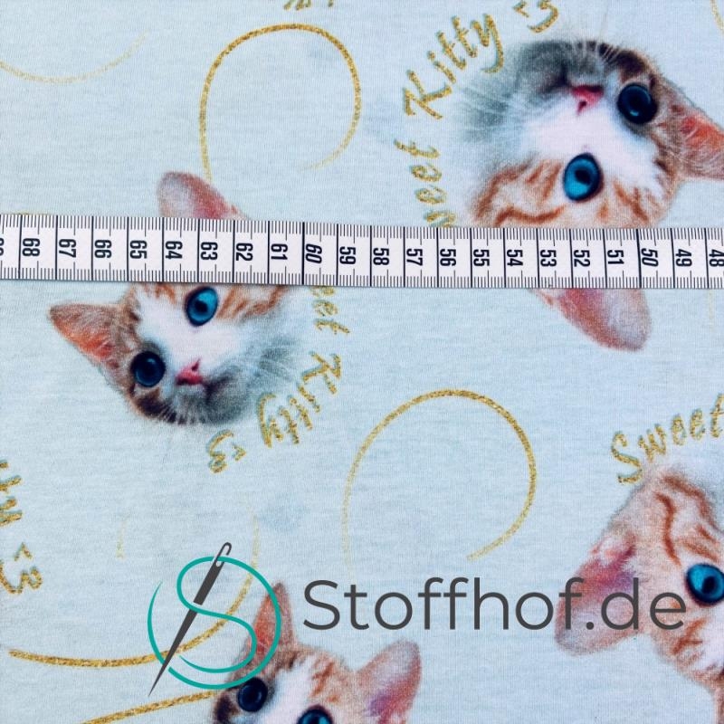 Baumwolljersey Süße Katzen / Hellmint