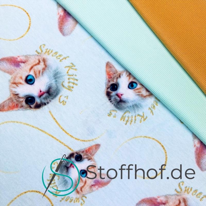 Baumwolljersey Süße Katzen / Hellmint