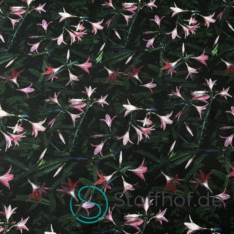 French Terry Sommersweat Glockenblumen / Schwarz