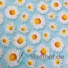 Baumwolljersey Gänseblümchen / Helltürkis